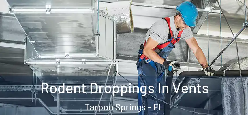 Rodent Droppings In Vents Tarpon Springs - FL