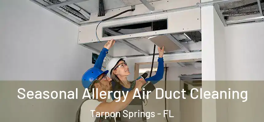 Seasonal Allergy Air Duct Cleaning Tarpon Springs - FL