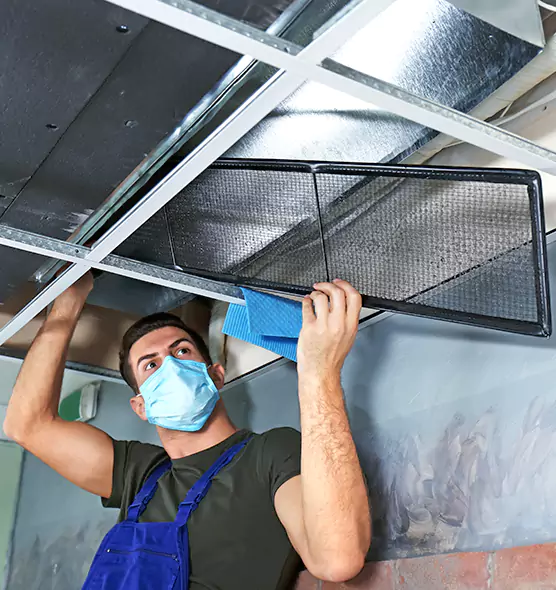 About Air Duct Bacteria Removal in Tarpon Springs
