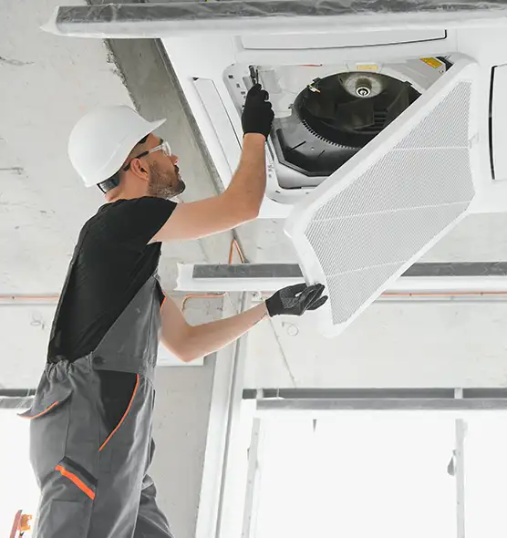 About Air Duct Rodent Removal in Tarpon Springs, FL