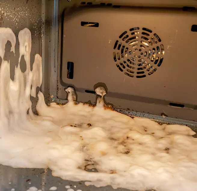 Why Homeowners & Businesses Trust Us in Tarpon Springs, FL?