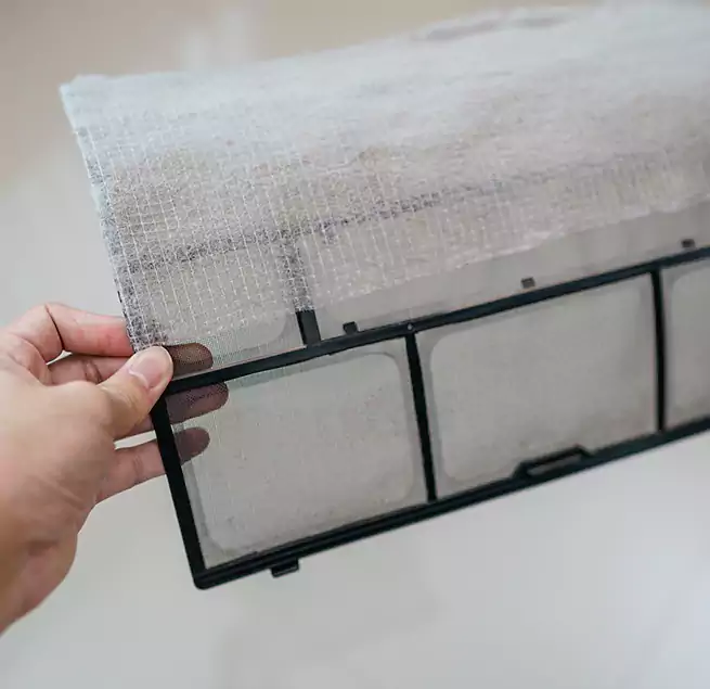 Why Homeowners & Businesses Trust Us in Tarpon Springs, FL?