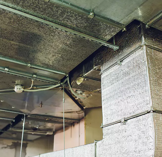 Why Homeowners & Businesses Trust Us in Tarpon Springs, FL?