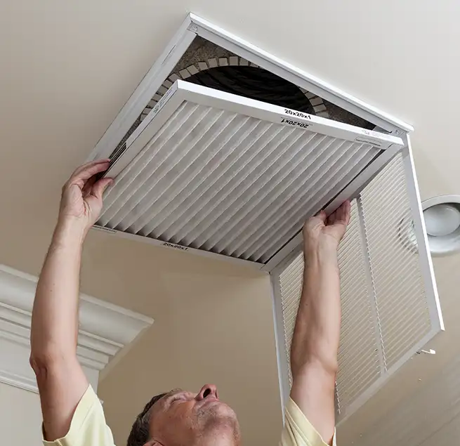 Why Homeowners & Businesses Trust Us in Tarpon Springs, FL?