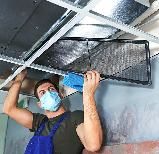 Why Homeowners & Businesses Trust Us in Tarpon Springs, FL?