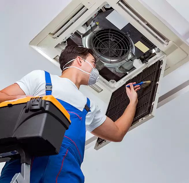 Why Homeowners & Businesses Trust Us in Tarpon Springs, FL?