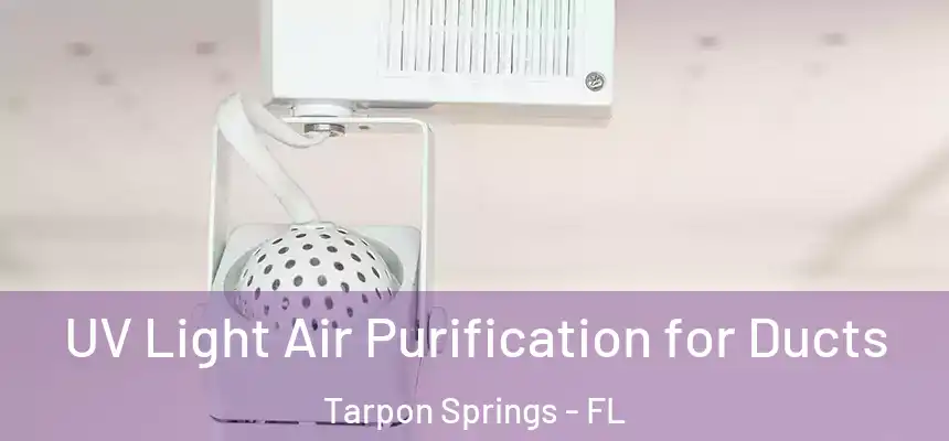  UV Light Air Purification for Ducts Tarpon Springs - FL