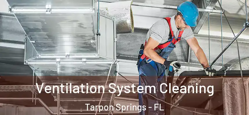  Ventilation System Cleaning Tarpon Springs - FL