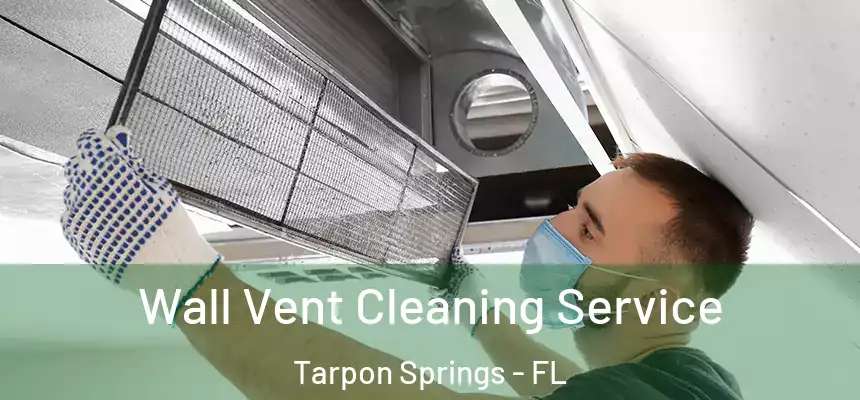 Wall Vent Cleaning Service Tarpon Springs - FL
